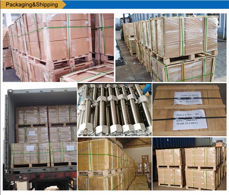 Rostfritt stål-List-Bultar-Skruvfastener-förpackning